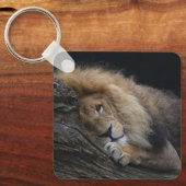 Löwe 030 schlüsselanhänger (Vorderseite)