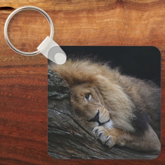 Löwe 030 schlüsselanhänger (Vorderseite)