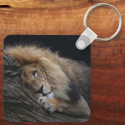 Löwe 030 schlüsselanhänger (Rückseite)