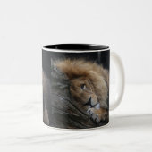 Löwe 030 zweifarbige tasse (VorderseiteRechts)