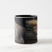 Löwe 030 zweifarbige tasse (Mittel)