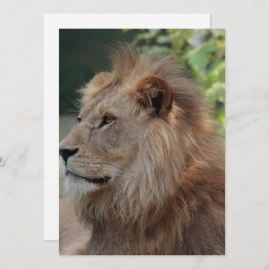 Löwe 035 feiertagskarte (Vorne/Hinten)