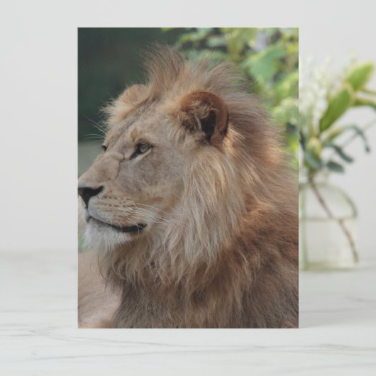 Löwe 035 feiertagskarte (Stehend Vorderseite)