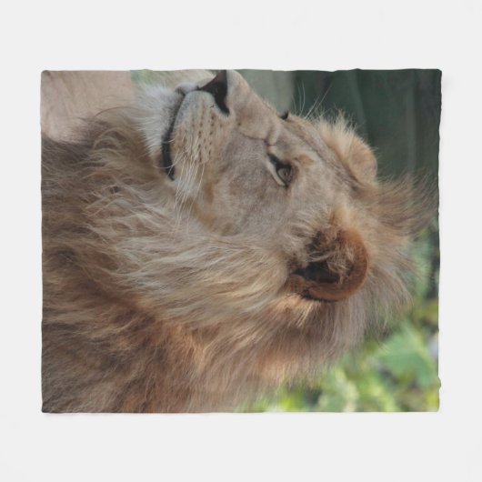 Löwe 035 fleecedecke (Vorderseite (Horizontal))