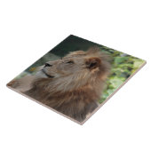 Löwe 035 fliese (Seite)