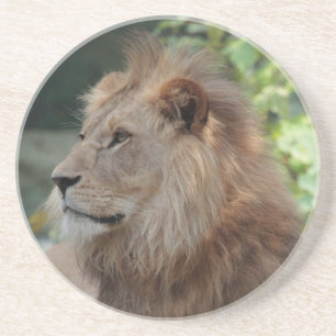 Löwe 035 getränkeuntersetzer