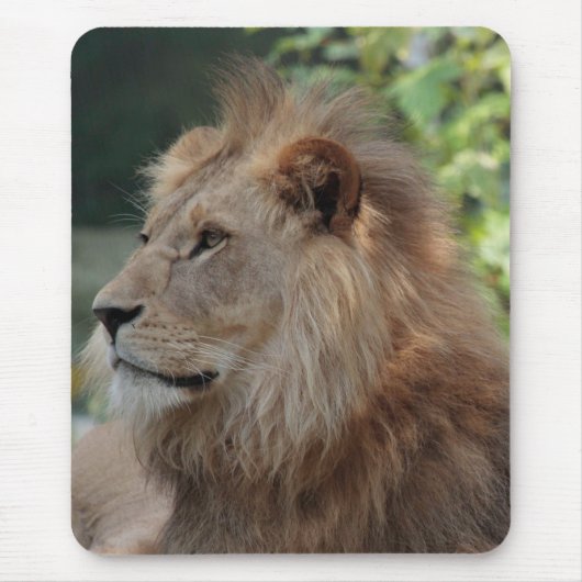 Löwe 035 mousepad (Vorne)