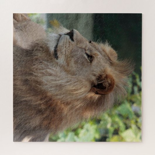 Löwe 035 puzzle (Horizontal)