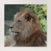 Löwe 035 puzzle (Vertikal)