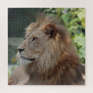 Löwe 035 puzzle