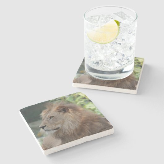 Löwe 035 steinuntersetzer (Seitenansicht)