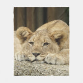 Löwe 040 fleecedecke (Vorderseite)