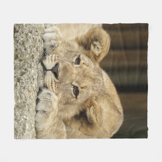 Löwe 040 fleecedecke (Vorderseite (Horizontal))