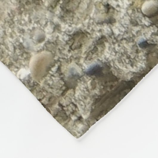 Löwe 040 fleecedecke (Ecke)