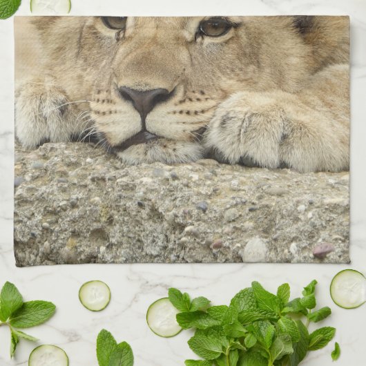 Löwe 040 geschirrtuch (Gefaltet)