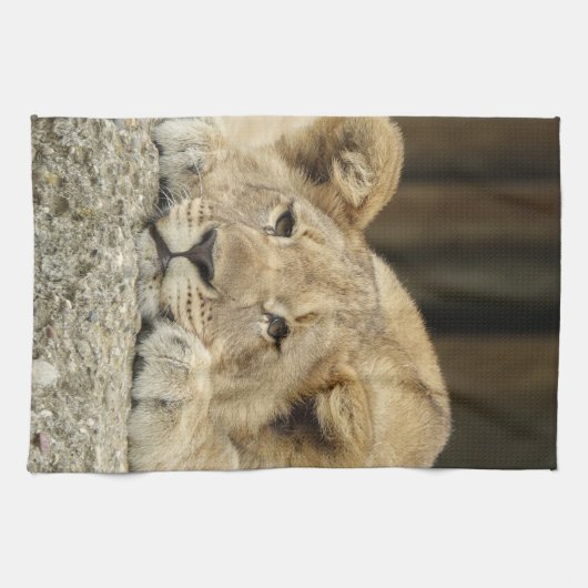 Löwe 040 geschirrtuch (Horizontal)