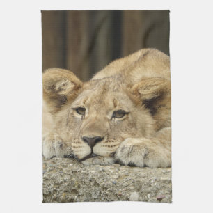 Löwe 040 geschirrtuch