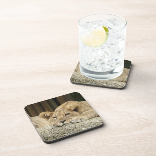 Löwe 040 getränkeuntersetzer (Rechte Seite)