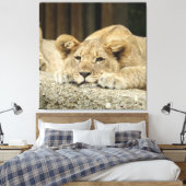 Löwe 040 leinwanddruck (Insitu (Schlafzimmer))