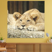 Löwe 040 leinwanddruck (Insitu (Wohnzimmer))