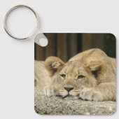 Löwe 040 schlüsselanhänger (Vorderseite)