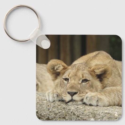 Löwe 040 schlüsselanhänger (Vorderseite)