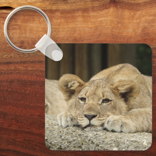 Löwe 040 schlüsselanhänger (Vorderseite)