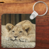 Löwe 040 schlüsselanhänger (Rückseite)