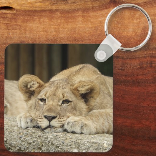 Löwe 040 schlüsselanhänger (Rückseite)