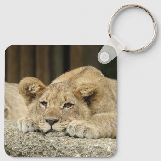 Löwe 040 schlüsselanhänger (Rückseite)