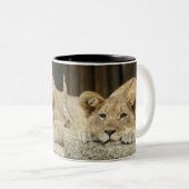 Löwe 040 zweifarbige tasse (VorderseiteRechts)