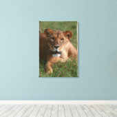 Löwe 10 leinwanddruck (Insitu (Holzboden))