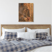 Löwe 12 leinwanddruck (Insitu (Schlafzimmer))