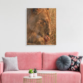 Löwe 12 leinwanddruck (Insitu (Wohnzimmer))