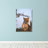 Löwe 13 leinwanddruck (Insitu (Holzboden))