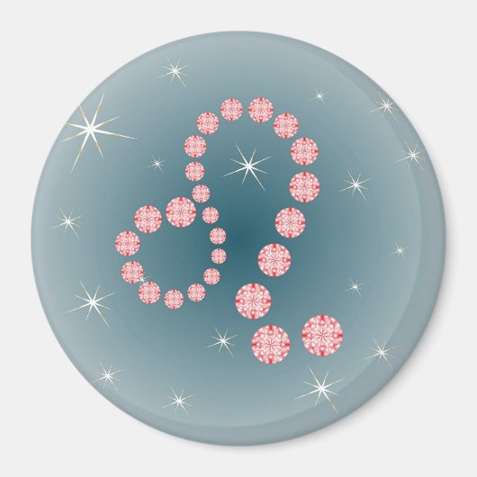 Löwe 23. Juli bis 22. August Magnet (Vorne)