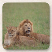 Löwe 2 getränkeuntersetzer (Vorderseite)