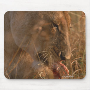 Löwe 3 mousepad