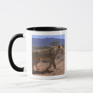 Löwe 3 tasse