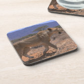 Löwe 3 untersetzer (Linke Seite)