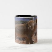 Löwe 3 zweifarbige tasse (Mittel)