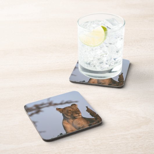 Löwe 4 untersetzer (Rechte Seite)