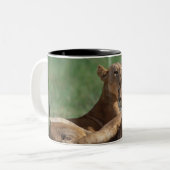 Löwe 5 zweifarbige tasse (Vorderseite Links)