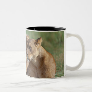 Löwe 5 zweifarbige tasse