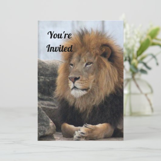 Löwe 6880 Einladung zum Geburtstag (Stehend Vorderseite)
