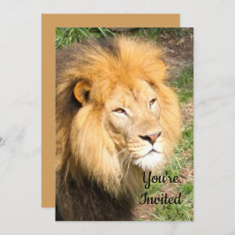 Löwe 6918 Einladung zum Geburtstag
