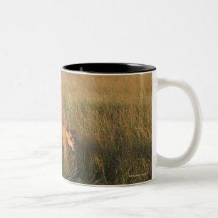 Löwe 6 zweifarbige tasse