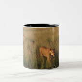 Löwe 6 zweifarbige tasse (Mittel)