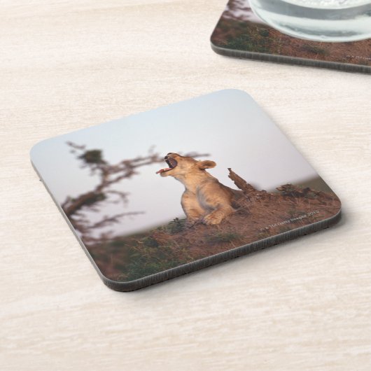 Löwe 7 untersetzer (Linke Seite)