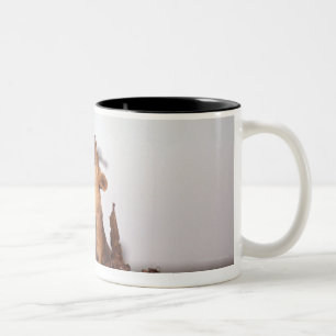 Löwe 7 zweifarbige tasse